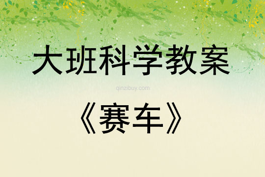 大班科学赛车教案反思