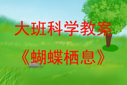 大班科学活动蝴蝶栖息教案