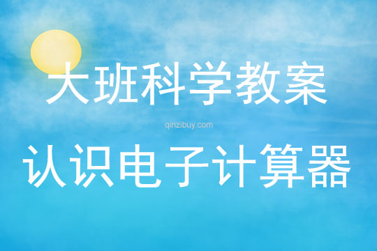 大班科学活动认识电子计算器教案反思