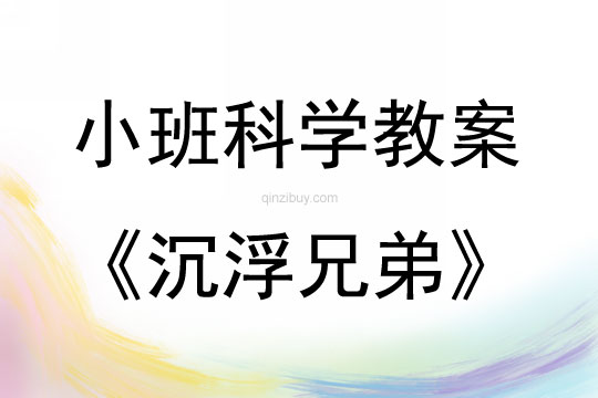 小班科学沉浮兄弟教案反思