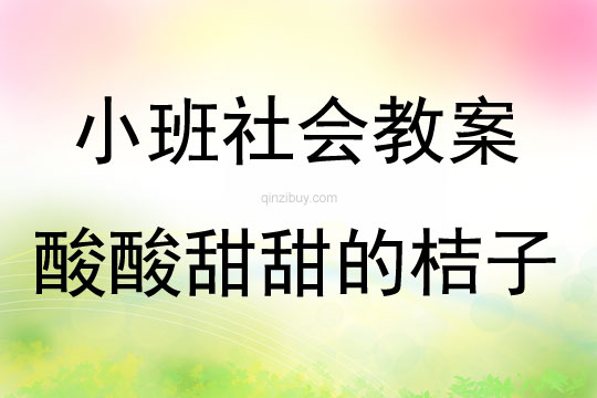 小班社会活动酸酸甜甜的桔子教案反思