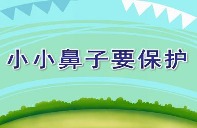 小班健康教育小小鼻子要保护PPT课件