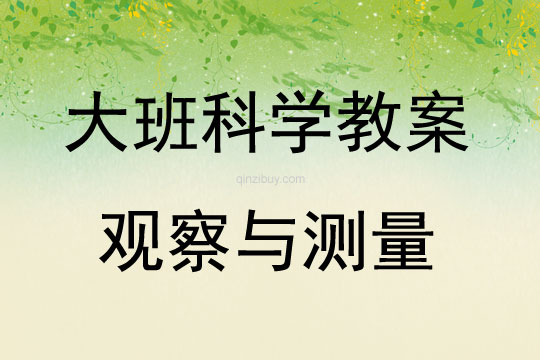 大班幼儿科学观察与测量活动方案教案