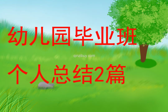 幼儿园毕业班个人总结2篇