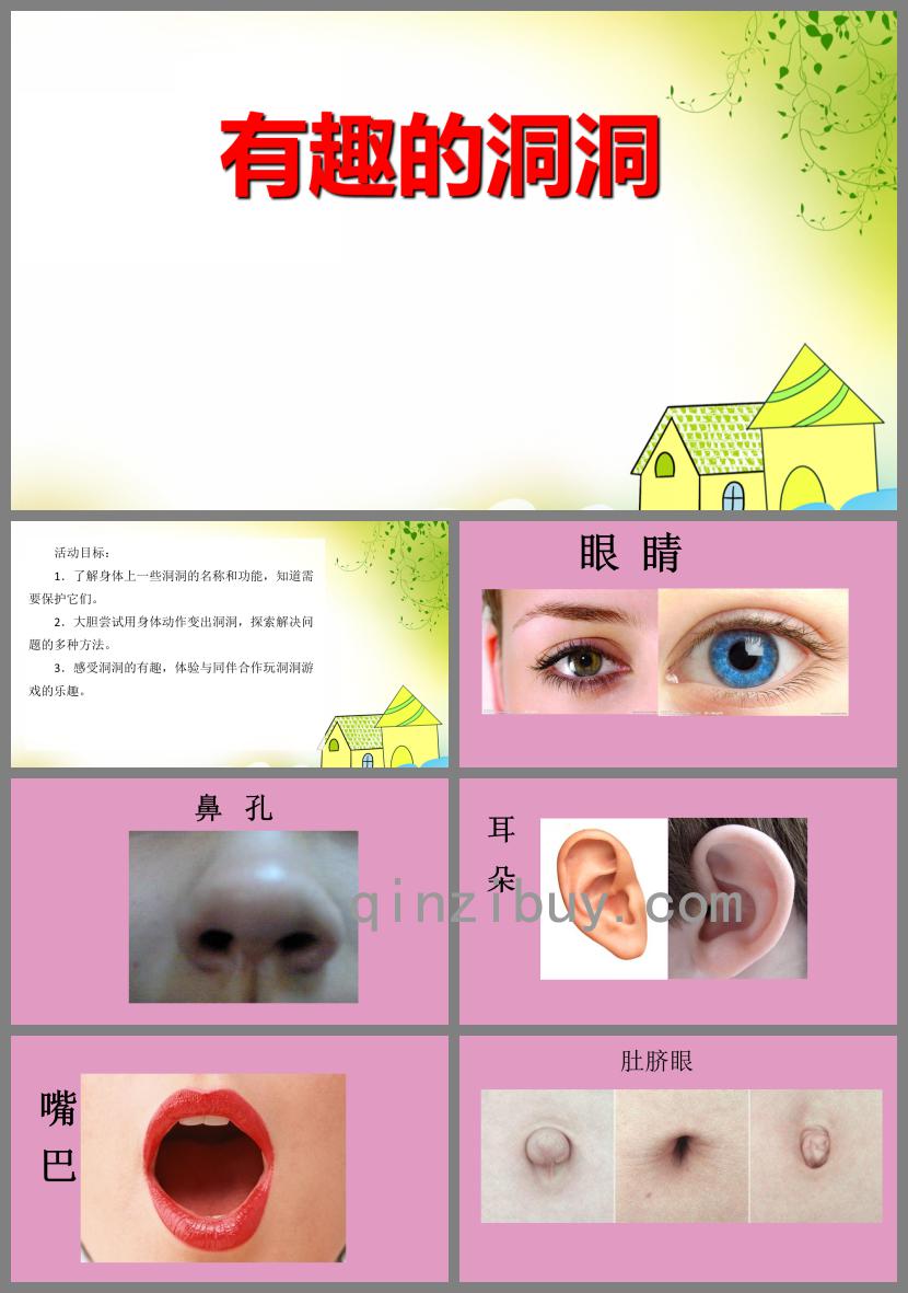 中班科学有趣的洞洞PPT课件