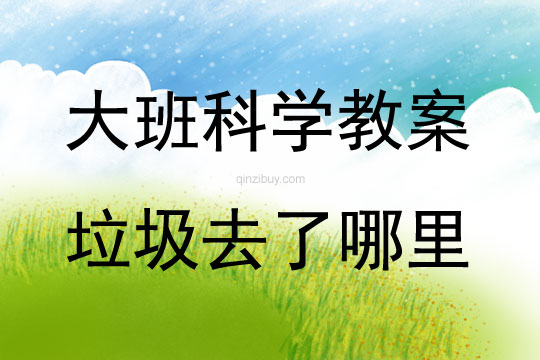 大班科学垃圾去了哪里教案反思
