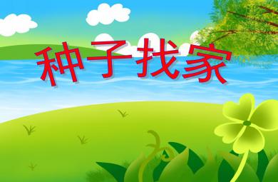 大班科学种子找家PPT课件