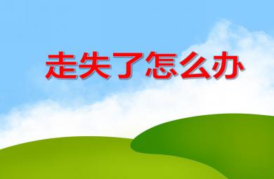 中班安全活动走失了怎么办PPT课件