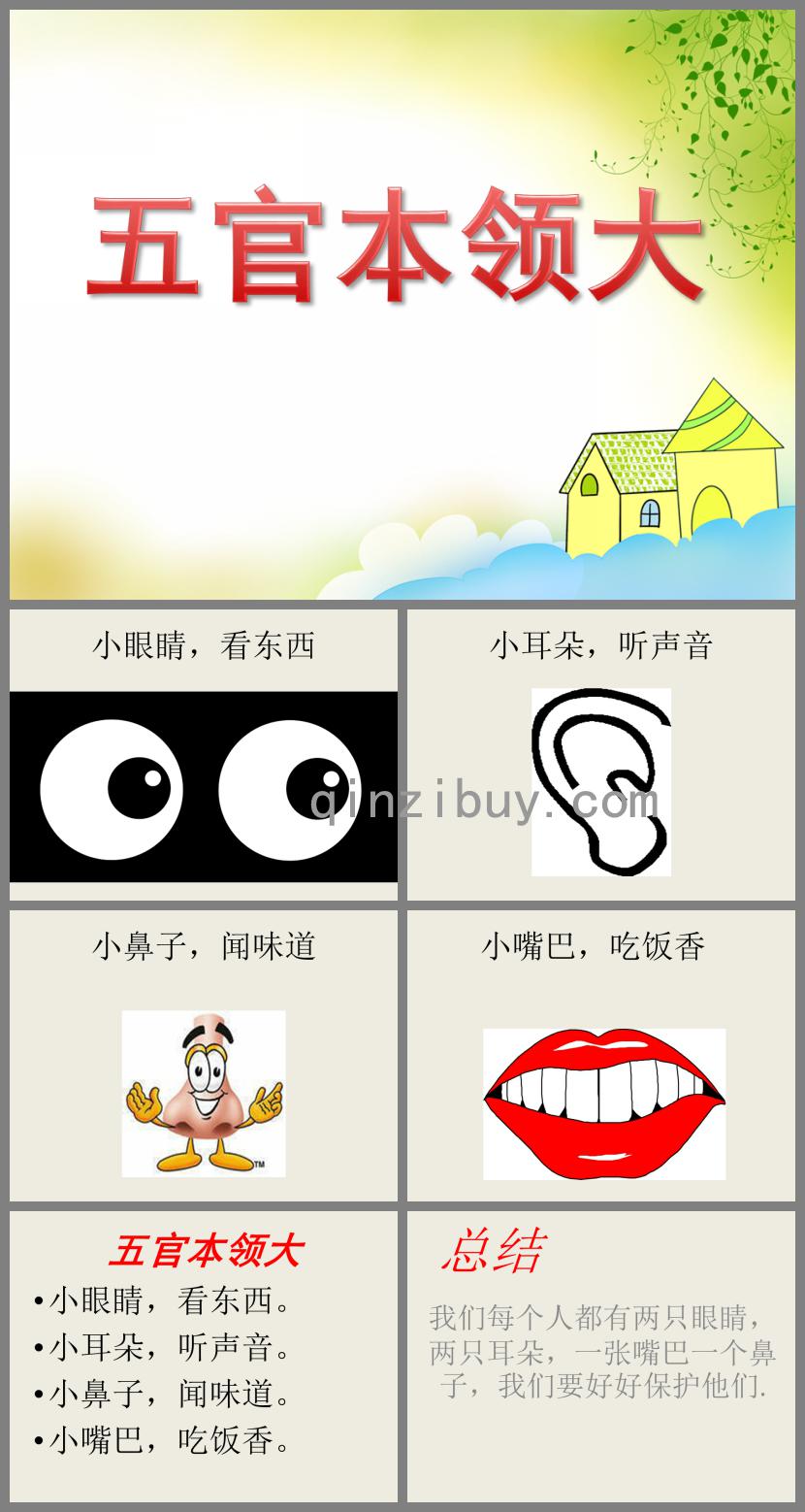 中班科学五官本领大PPT课件