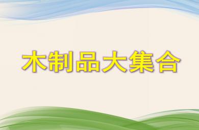 中班科学木制品大集合PPT课件