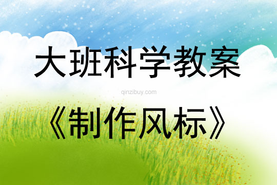 大班科学制作风标反思