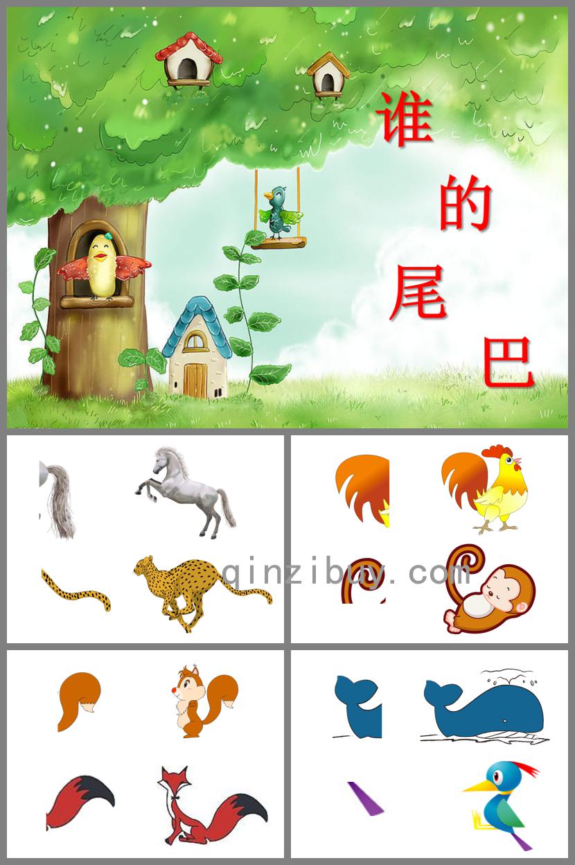 中班科常谁的尾巴PPT课件