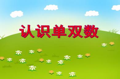 中班数学活动认识单双数PPT课件