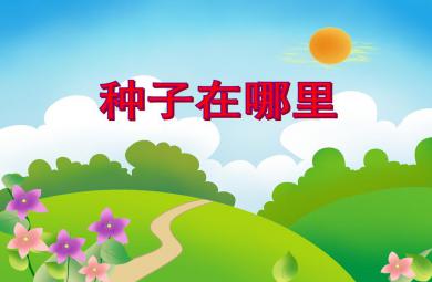 中班科学活动种子在哪里PPT课件