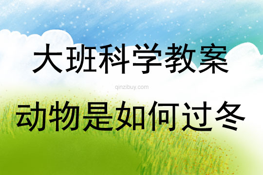 大班科学动物是如何过冬的教案反思
