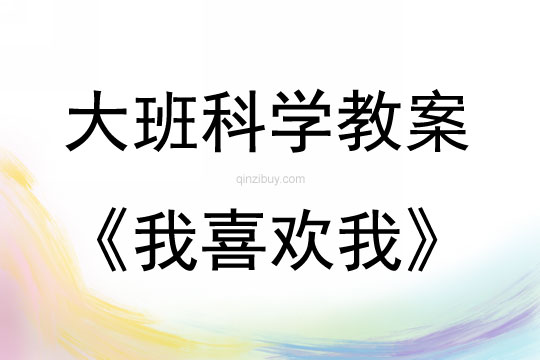 大班科学活动我喜欢我教案反思