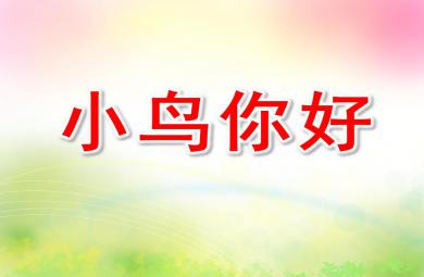 小班语言公开课小鸟你好PPT课件