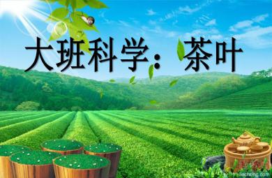 大班科学茶叶 认识茶叶PPT课件