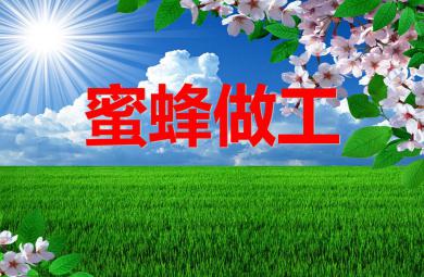 小班音乐蜜蜂做工PPT课件