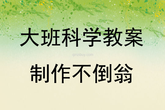 大班科学制作不倒翁教案反思