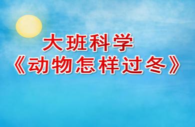 大班科学课件动物怎样过冬PPT课件