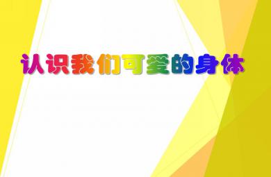 大班安全教育活动认识我们可爱的身体PPT课件