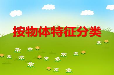 小班数学按物体特征分类PPT课件