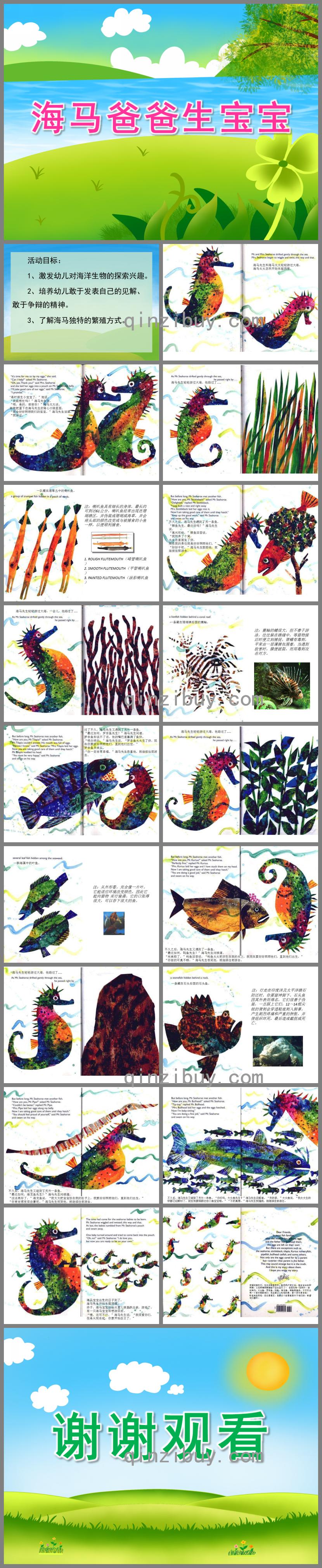 中班科学海马爸爸生宝宝PPT课件