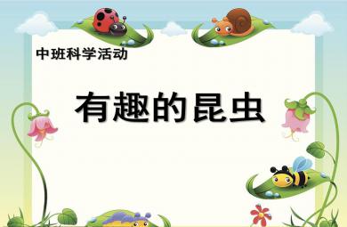 中班科学课件有趣的昆虫PPT课件