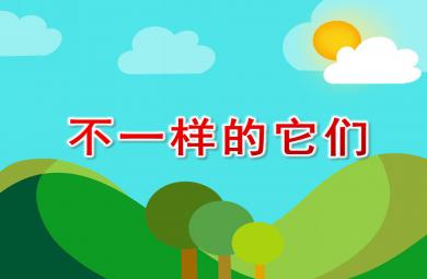 大班科学活动不一样的它们PPT课件