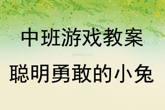 中班户外体育活动游戏聪明勇敢的小兔教案反思