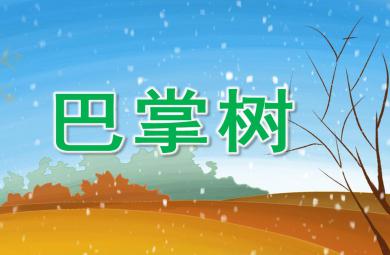 小班语言巴掌树PPT课件