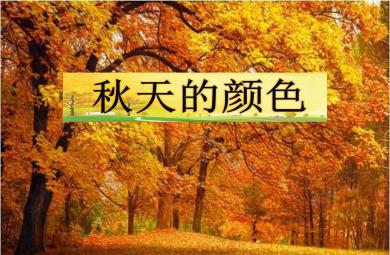 中班语言课件秋天的颜色PPT课件