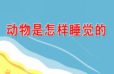 大班科学公开课动物是怎样睡觉的PPT课件配音