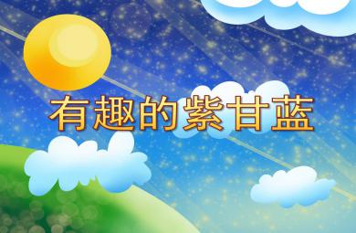 中班科学探究有趣的紫甘蓝PPT课件