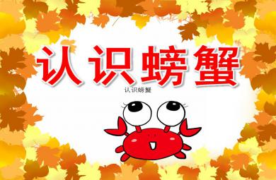 大班科学认识螃蟹PPT课件