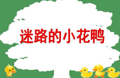 大班音乐迷路的小花鸭PPT课件
