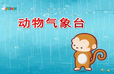 中班动物气象台PPT课件
