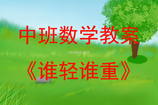 中班数学活动谁轻谁重教案反思