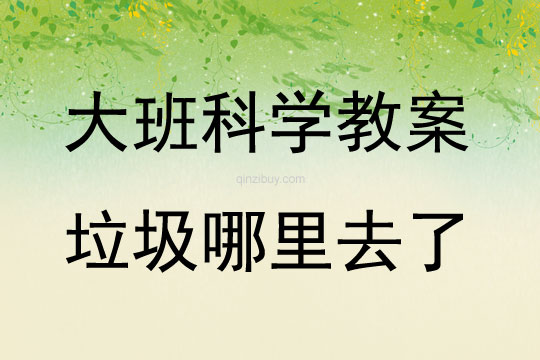 大班科学垃圾哪里去了教案反思