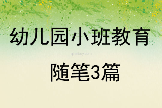 幼儿园小班教育随笔3篇