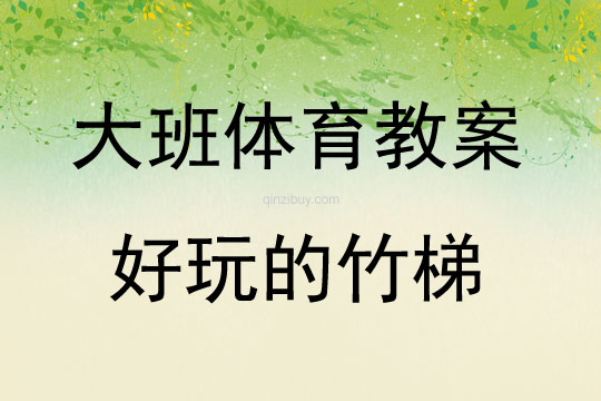 大班体育活动好玩的竹梯教案反思