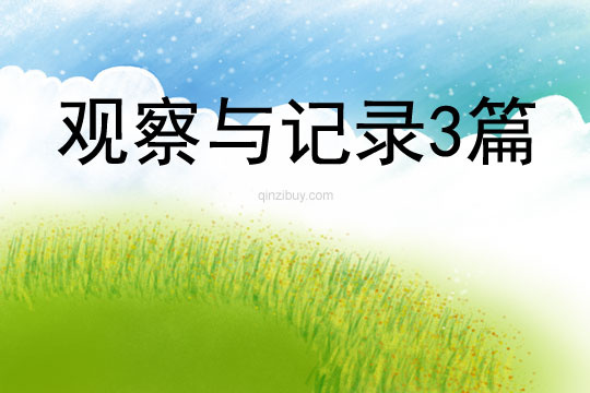 观察与记录3篇