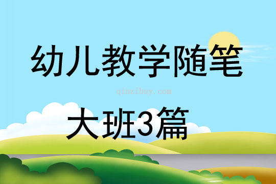 幼儿教学随笔大班3篇