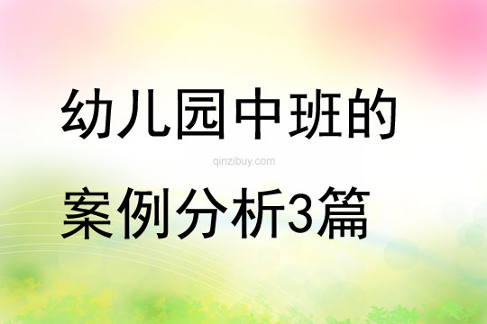 幼儿园中班的案例分析3篇