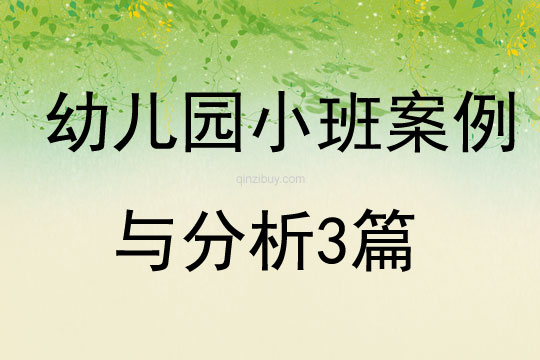 幼儿园小班案例与分析3篇