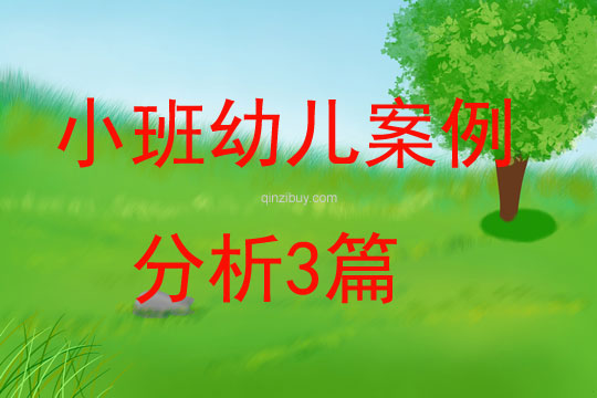 小班幼儿案例分析3篇