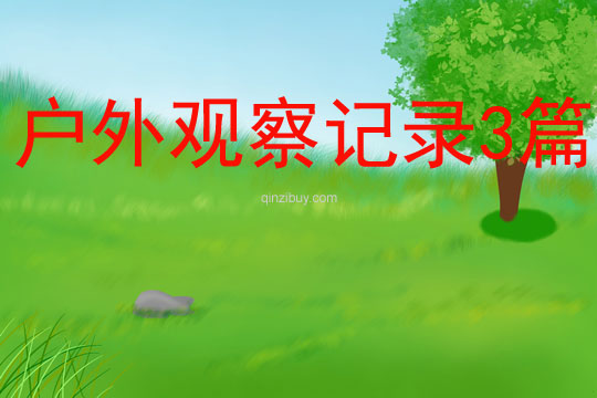 户外观察记录3篇
