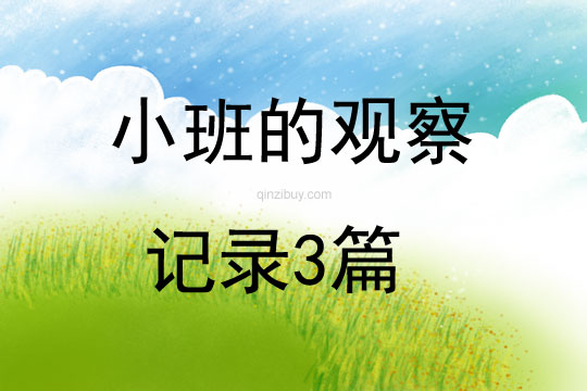 小班的观察记录3篇