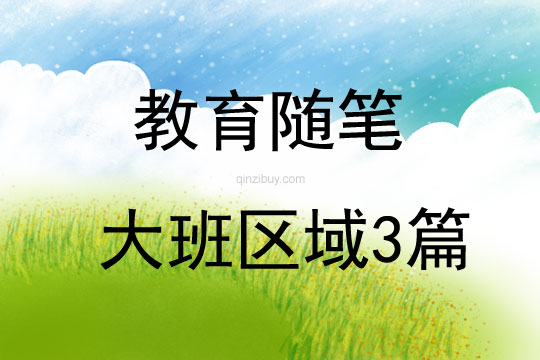 教育随笔大班区域3篇